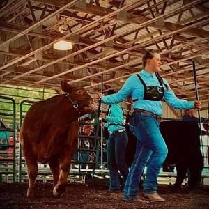 Meet your Posher, Riglee